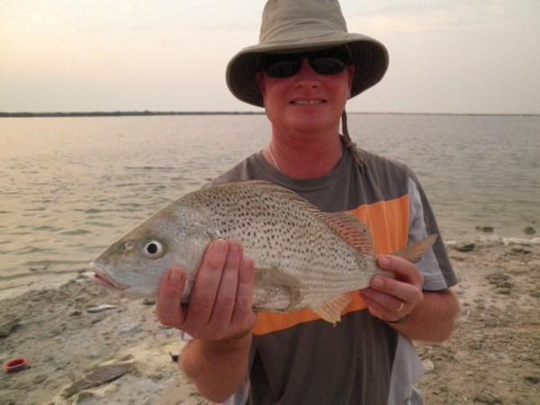 what kind of fish is this?