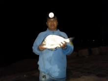 1321605644_327509.jpg