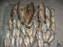 fishing in Abu dhabi