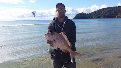 snapper fishing