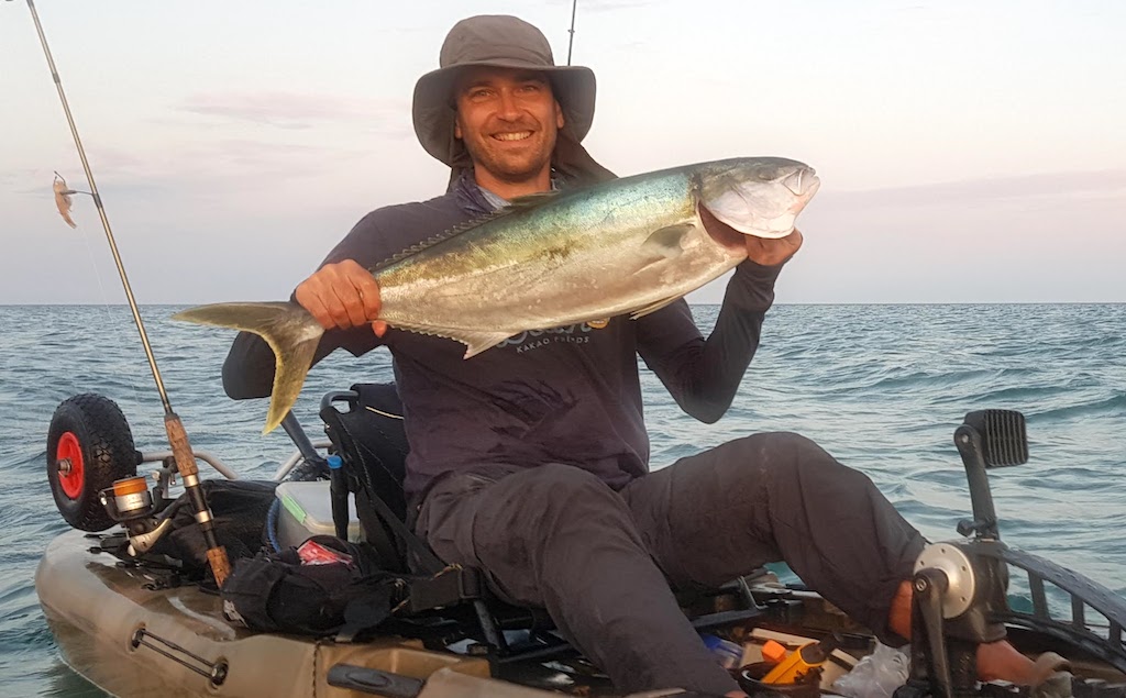 kingfish from kayak fishing