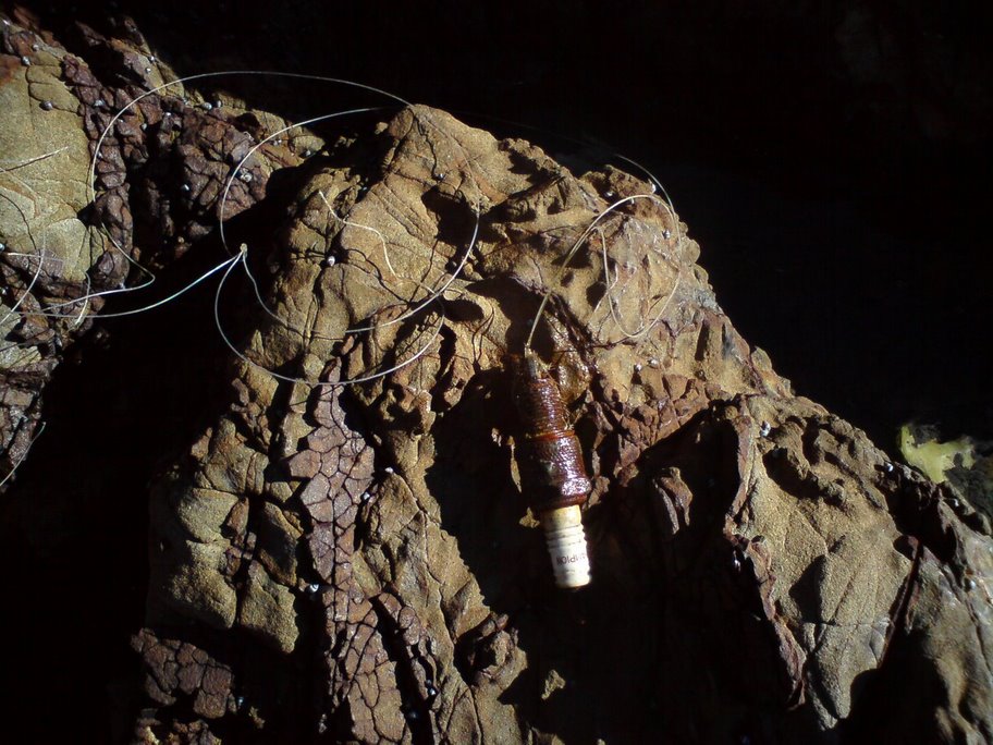 A Spark Plug used as sinker for fishing