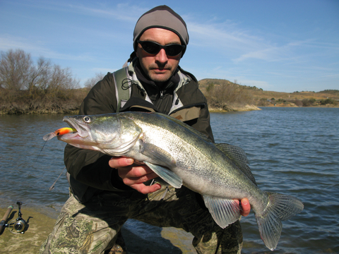 Fisherman holding a walleye