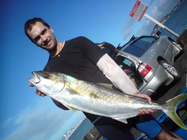 Kingfish from Kayak