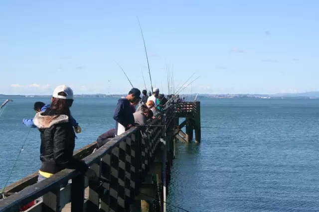 Fishing Pier near Auckland