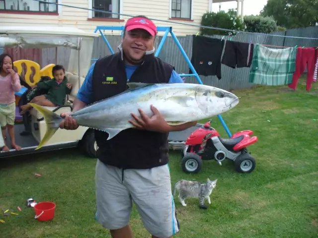 kingi