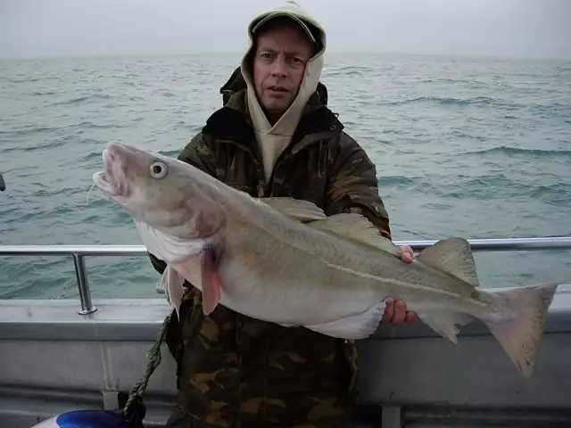 Nice Cod