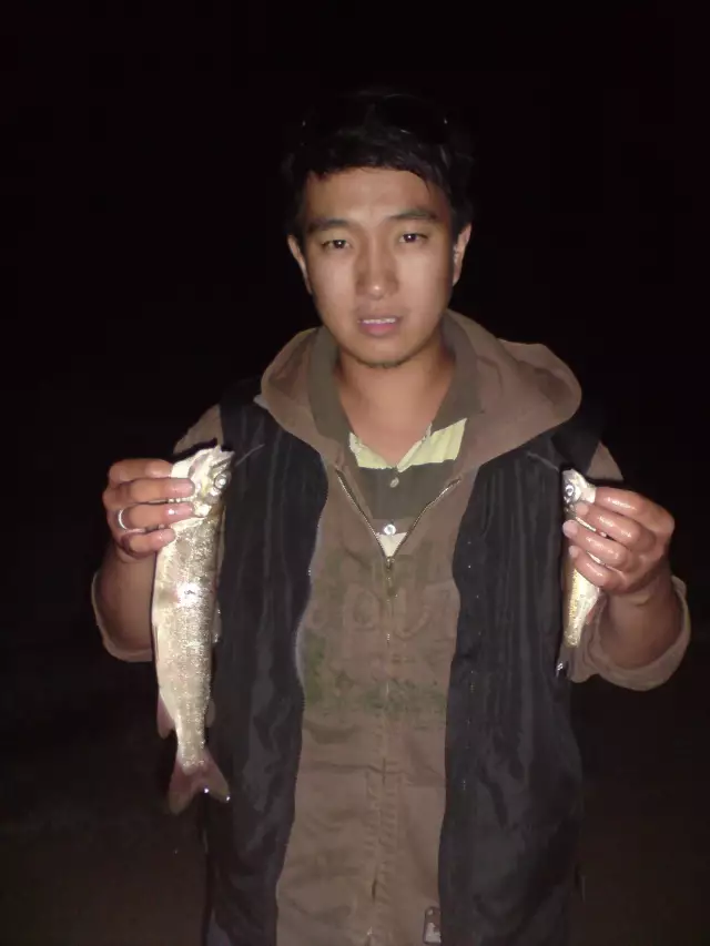 siberian lenok family trout and chapak from Mongolian river