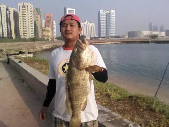 abu dhabi fishing