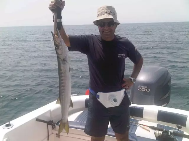 Barracuda