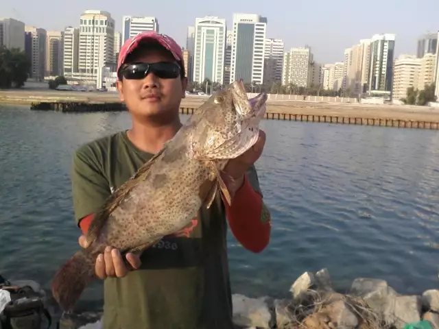 abu dhabi fishing