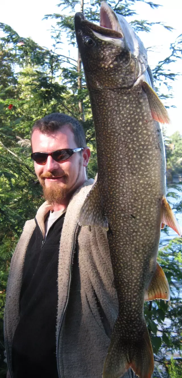 Lake Trout