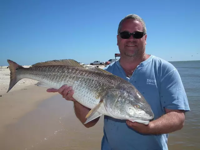 Bull Reds on Bryan Beach