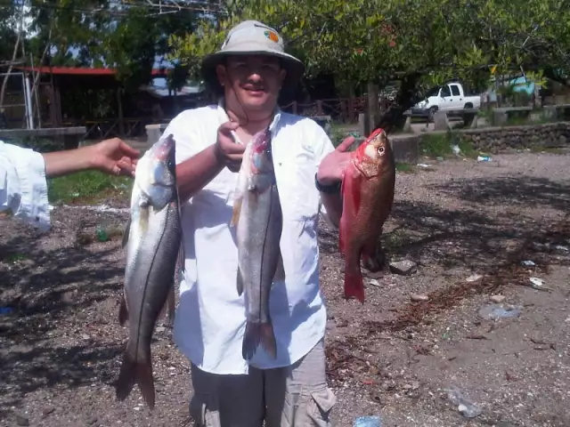 Golfo de Fonseca