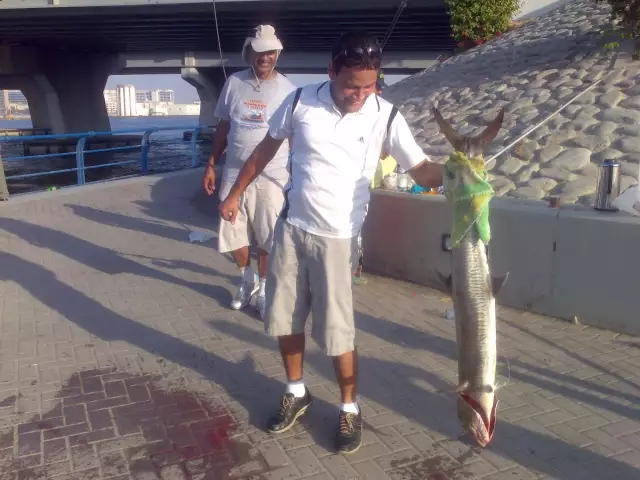 King Fish in Maktoum Bridge, Dubai