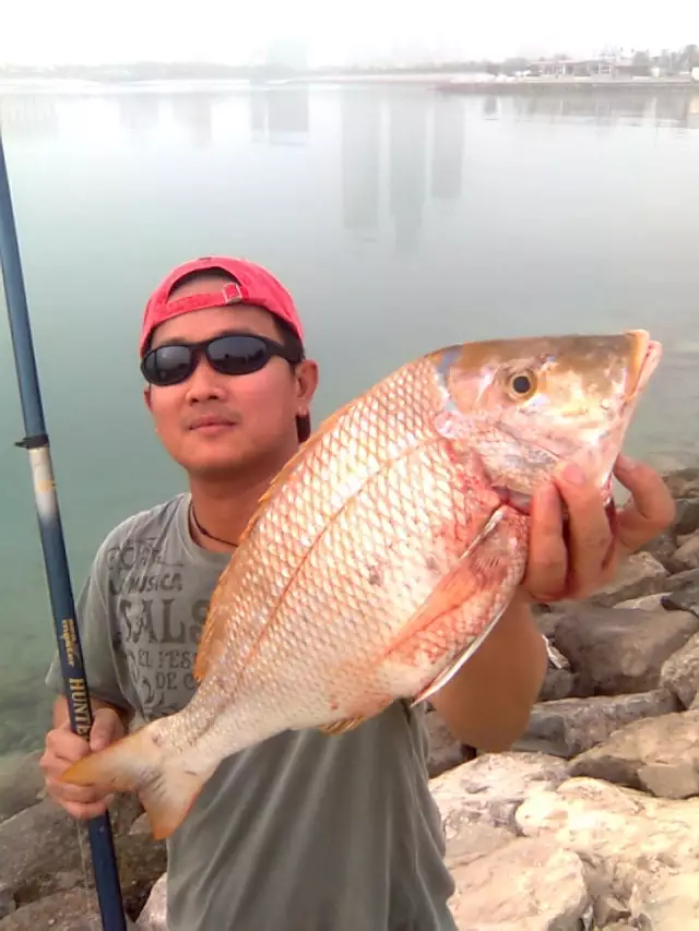 abu dhabi fishing