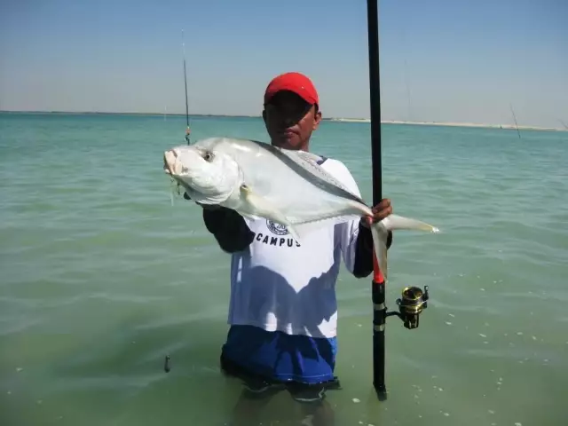 Trevally - 12.02.10 - AUH