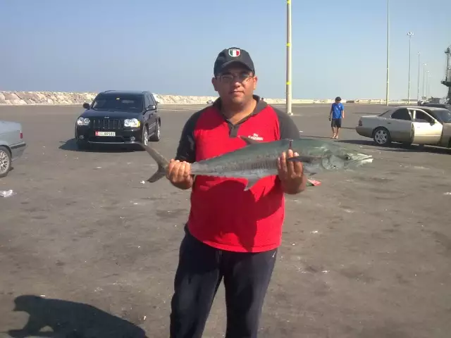 king fish in abu dhabi meena