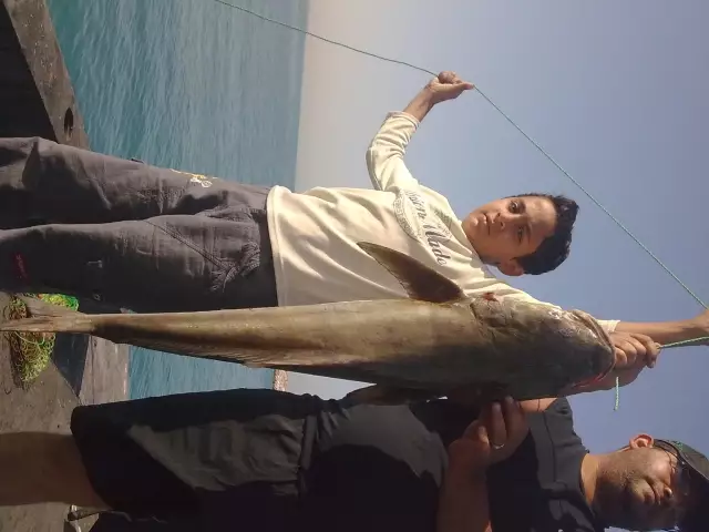 nice cobia