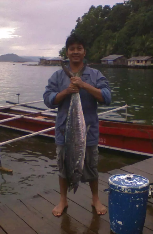 mackerel fish indonesia