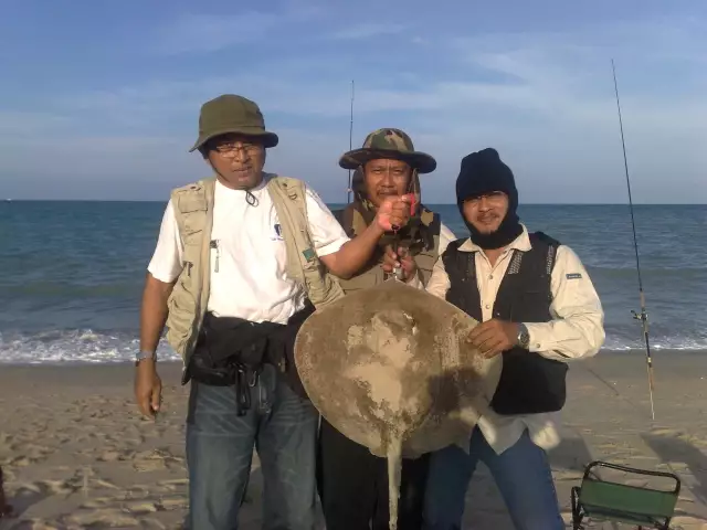 13.5 Kilo Sting ray