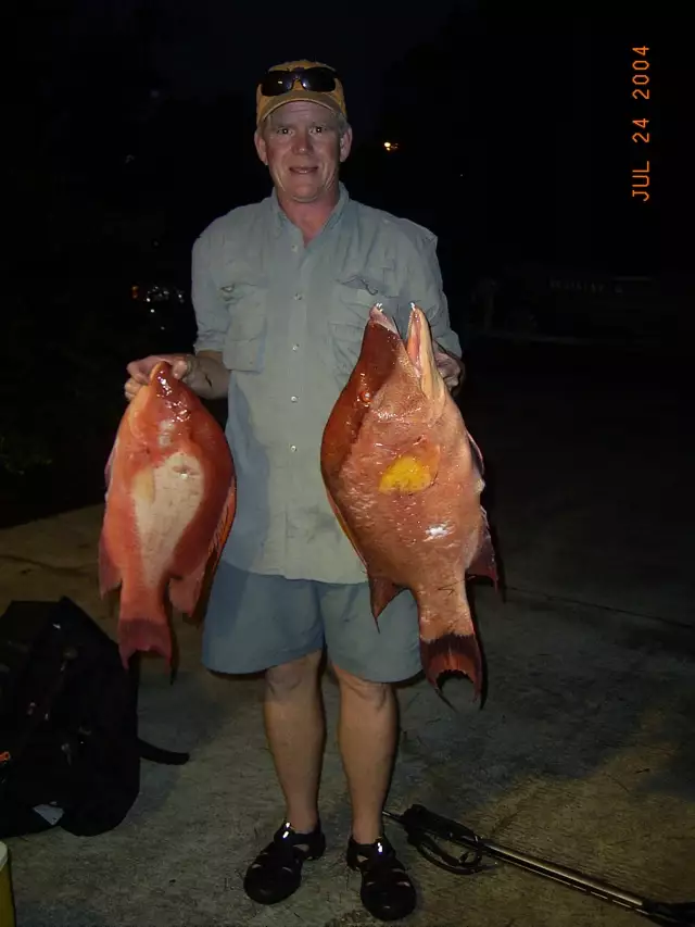 spearfishing snapper