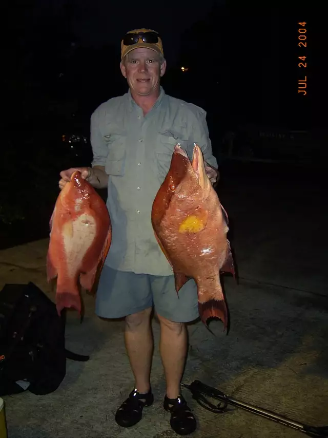 Hog Snapper- Spearfishing, Myrtle Beach SC