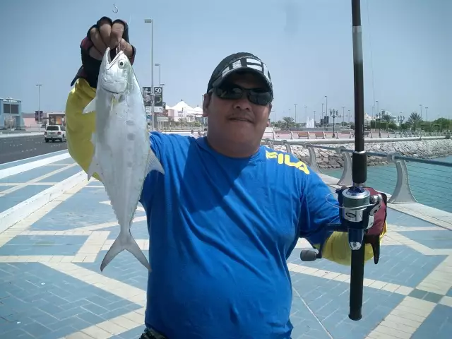 queen fish