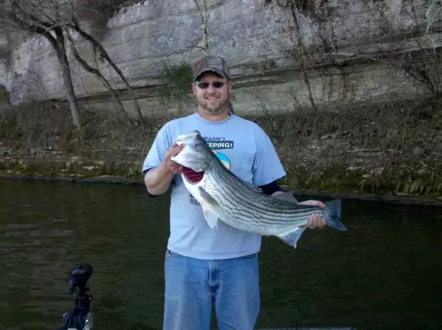 Big Ole Stripe While Crappie Fishing