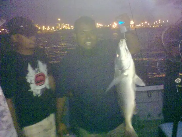 Grunter Durban Habour