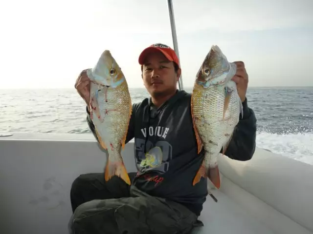 abu dhabi fishing