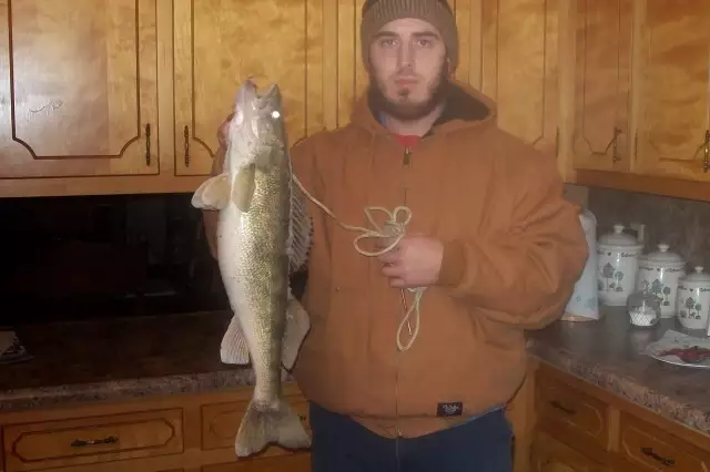 Walleye