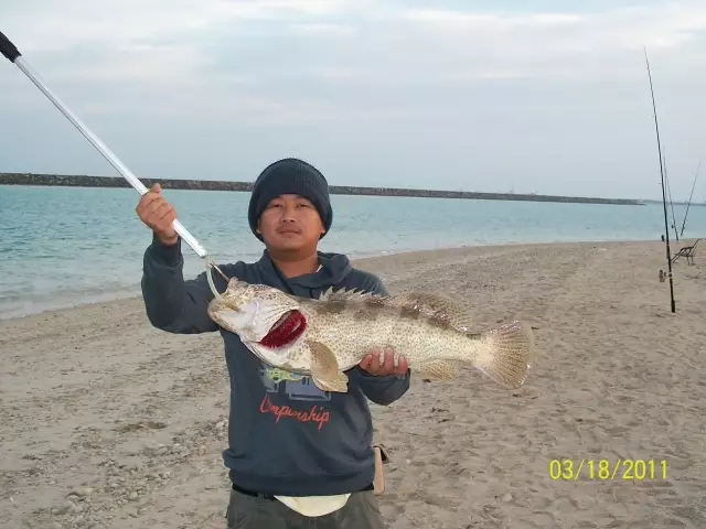 abu dhabi fishing