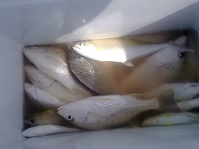 Fishing in Abu Dhabi with FRIENDS