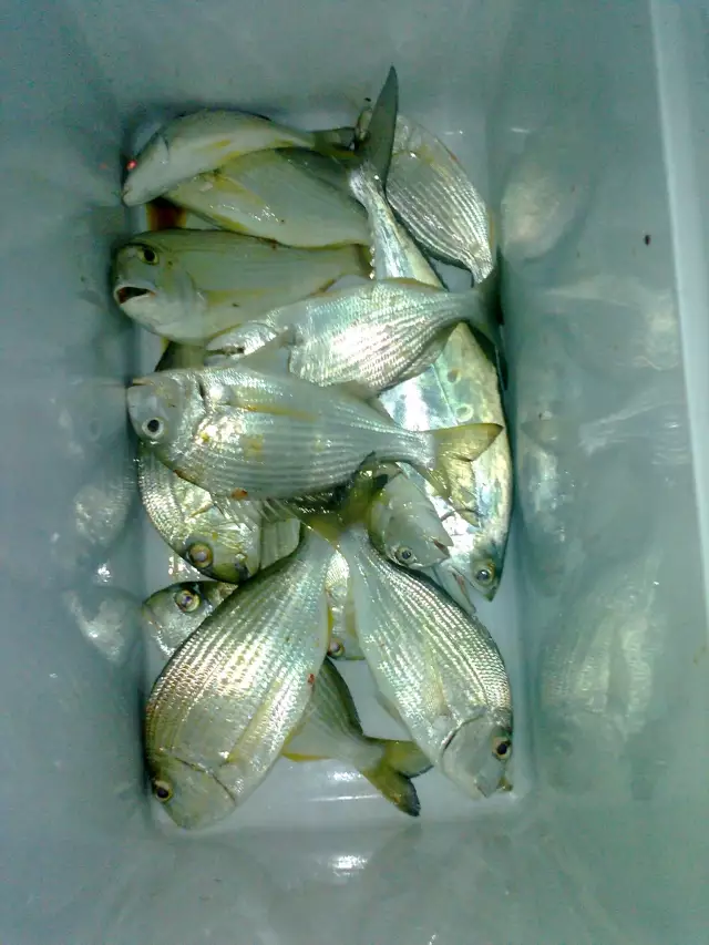 Fishing in Abu Dhabi with FRIENDS