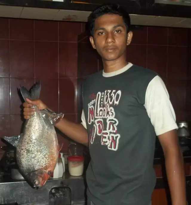 Pacu