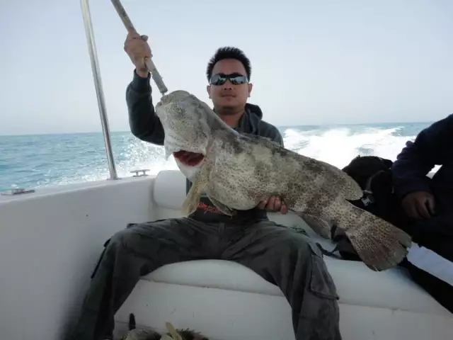 abu dhabi fishing