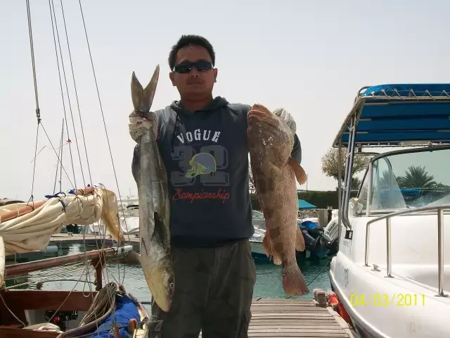 abu dhabi fishing