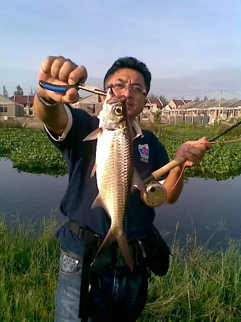 Terengganu Best Fly Fishing Port