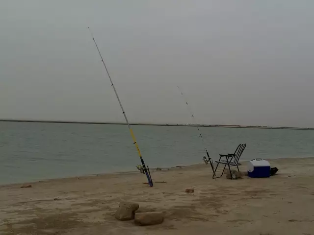 Fishing In Abu Dhabi - Aryam Island