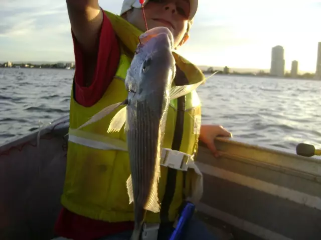5 year old Jayden fishing