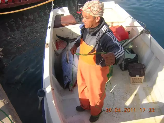 TUNA!
