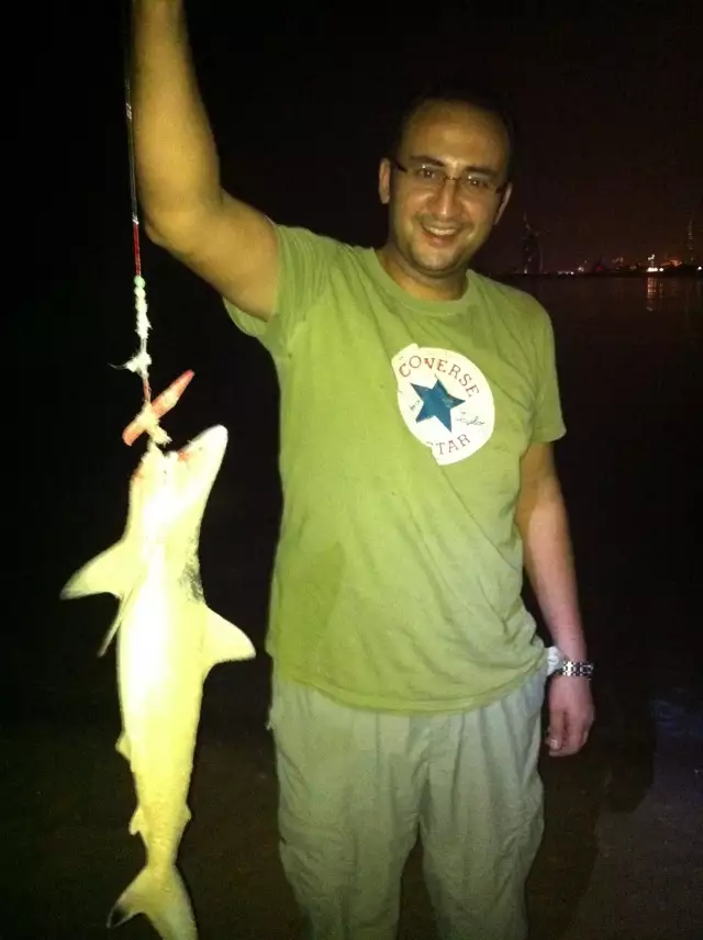 Shark Attack on Palm Jumierah- Dubai, UAE