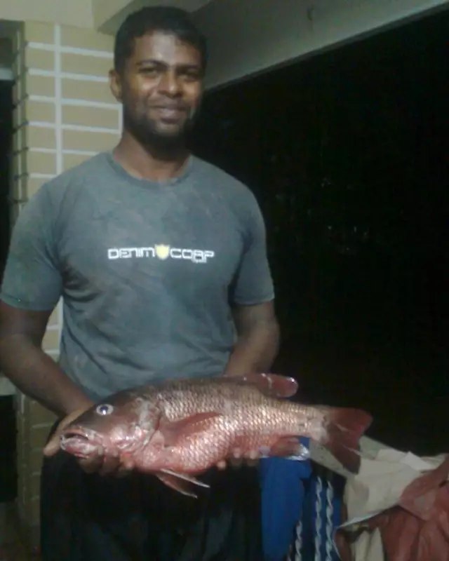 fish it!