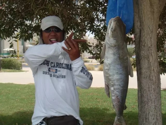 Catfish 2 2011