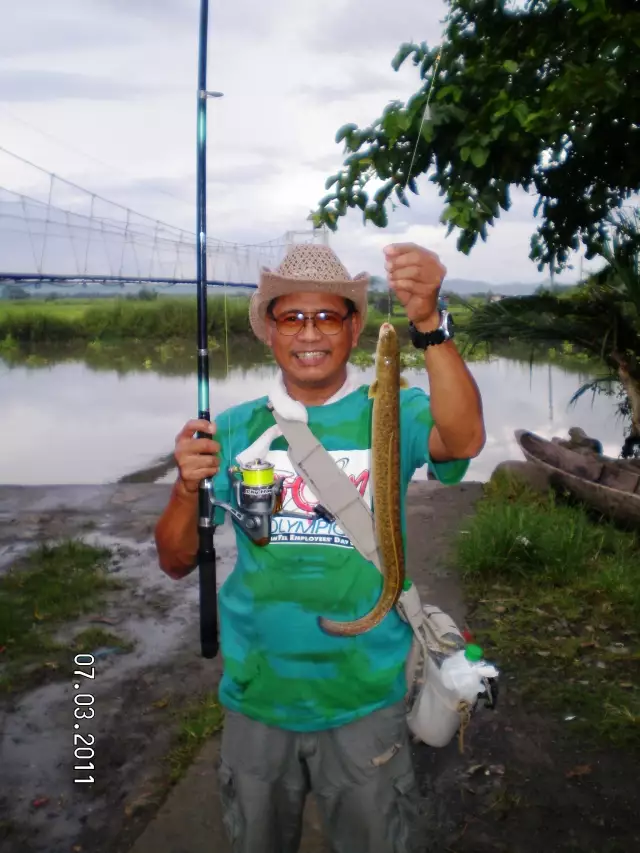 Fresh water Eel (Burirawan)