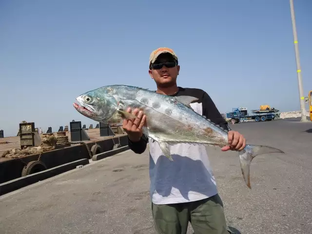 abu dhabi fishing