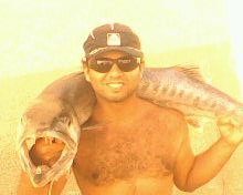 baracoda fishing