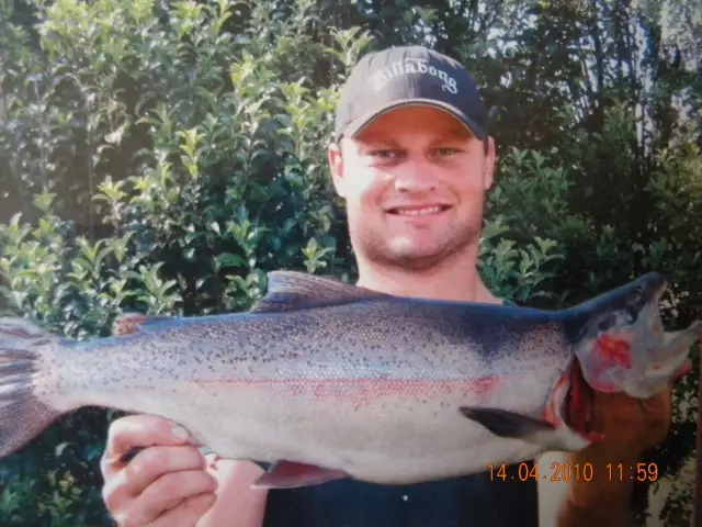 Turangi trout NZ