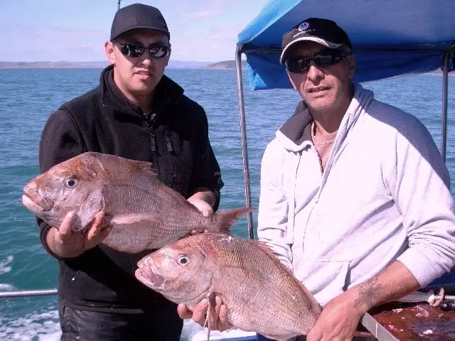 West coast snapper NZ